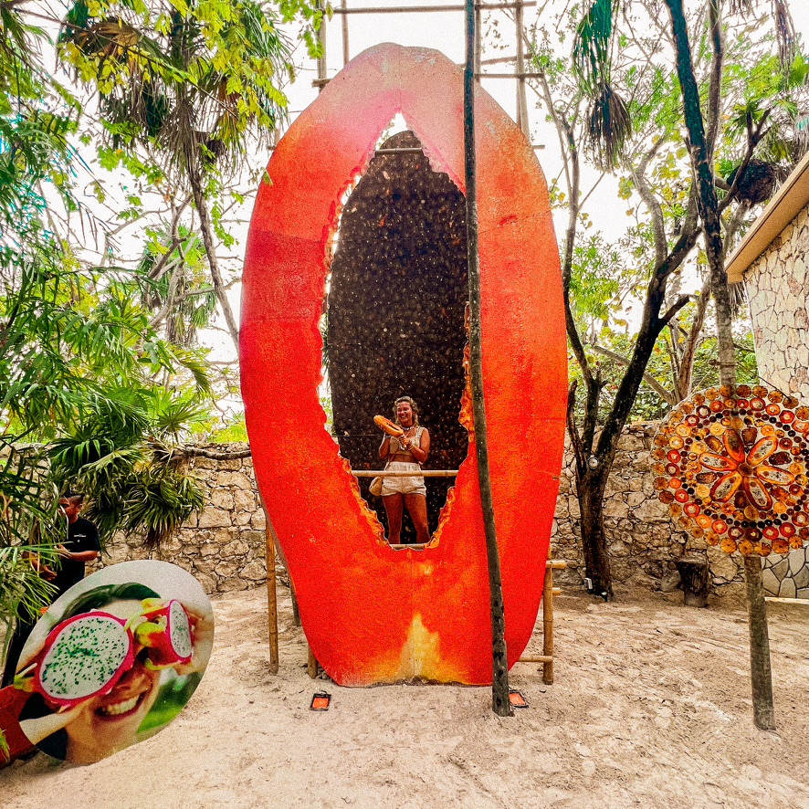 World's Largest Papaya
