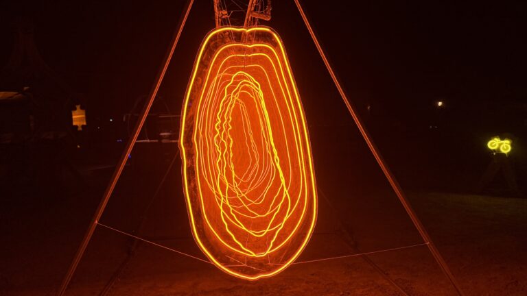 Burning Man landscape